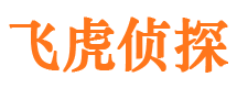 民和市侦探公司